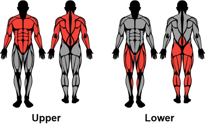 upper/lower_split